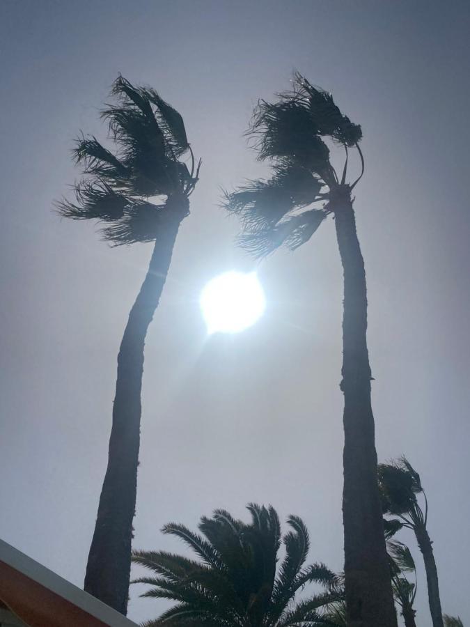 Brand New!! Green Oasis Costa Calma!!! !! Fast Wi-Fi !! المظهر الخارجي الصورة